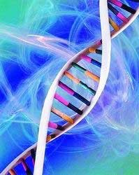 最新研究发现：定期锻炼可以延缓人体细胞衰老