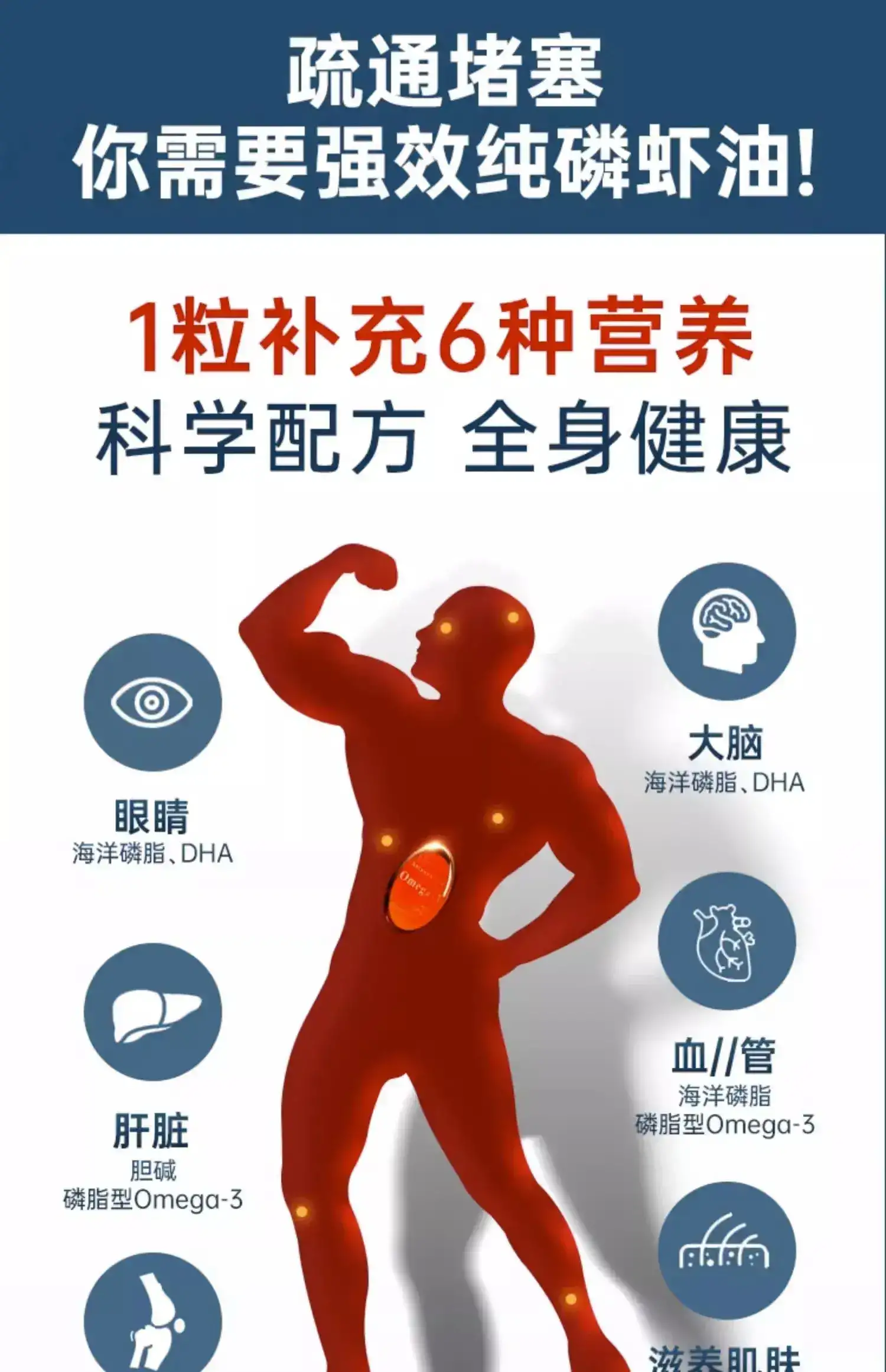 详情09.jpg
