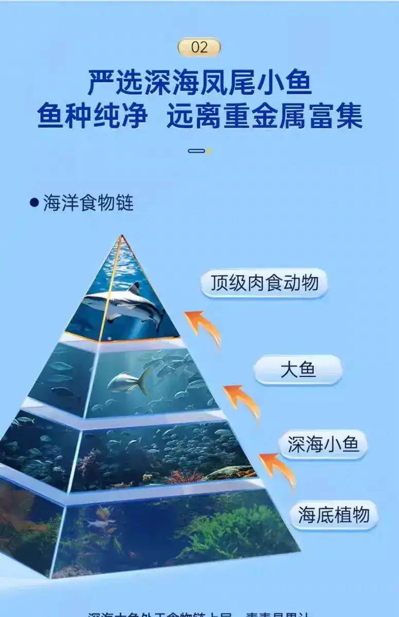 详情06.jpg