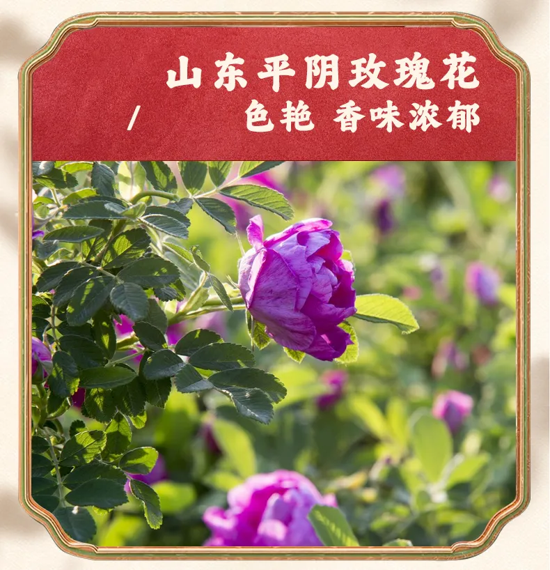 详情06.jpg