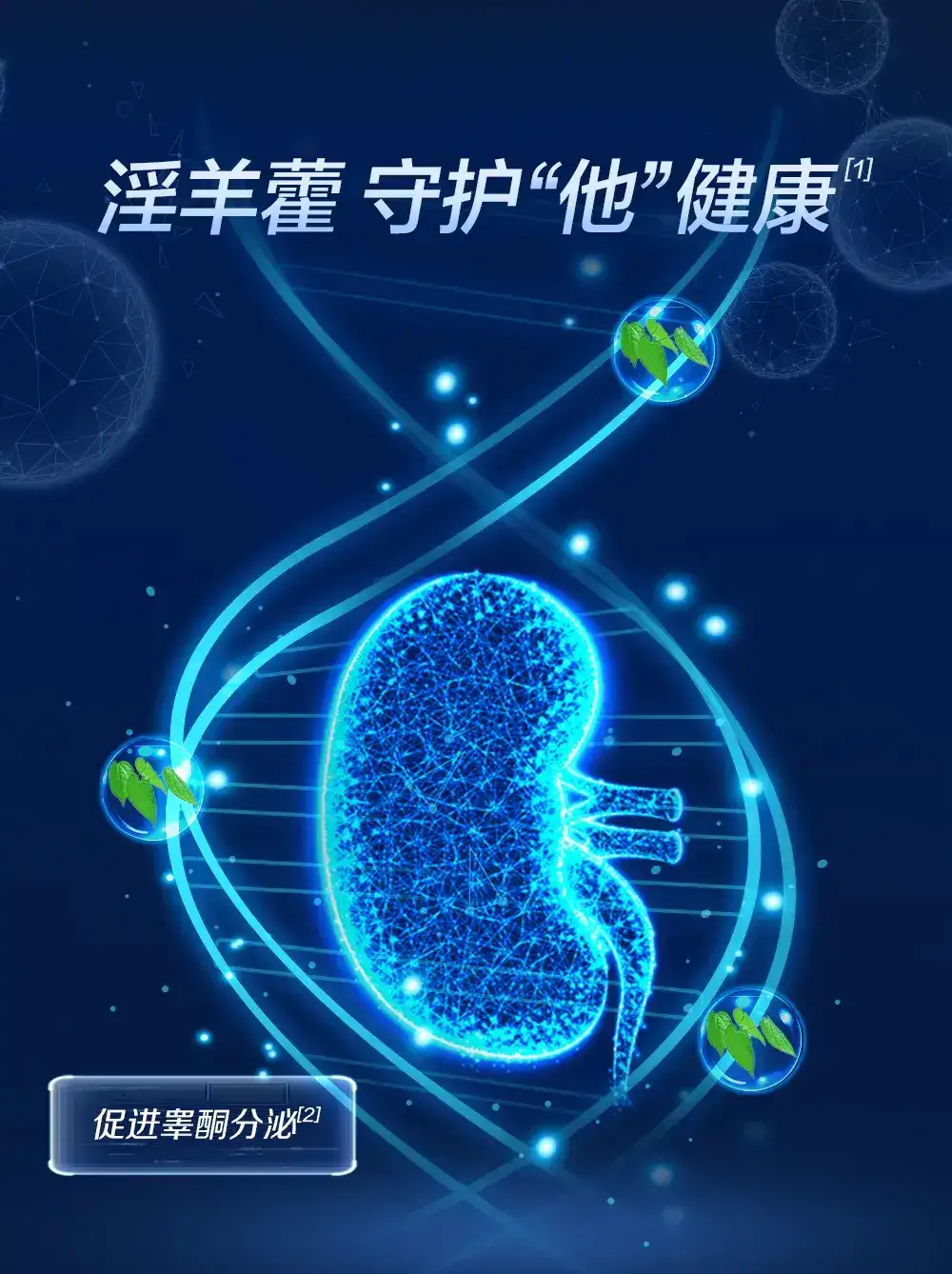 详情16.jpg