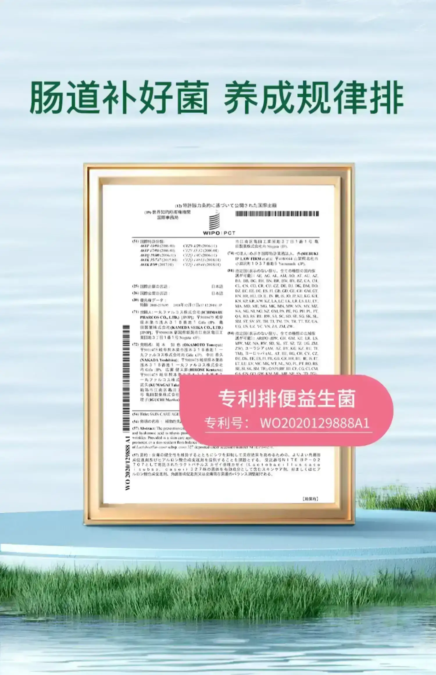 详情14.jpg