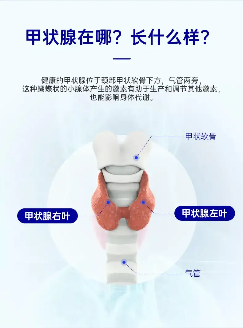 详情05.jpg