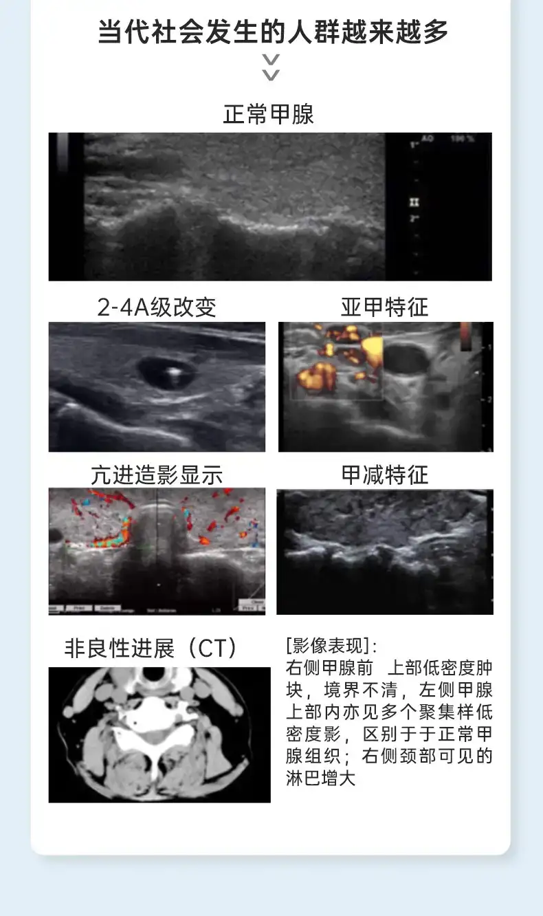 详情04.jpg