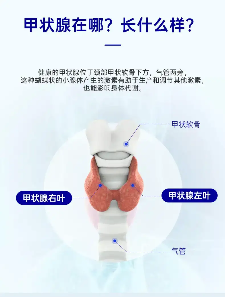 详情17.jpg