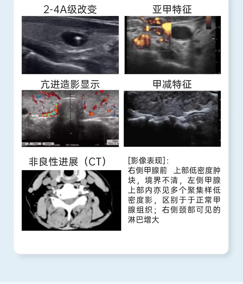 详情16.jpg