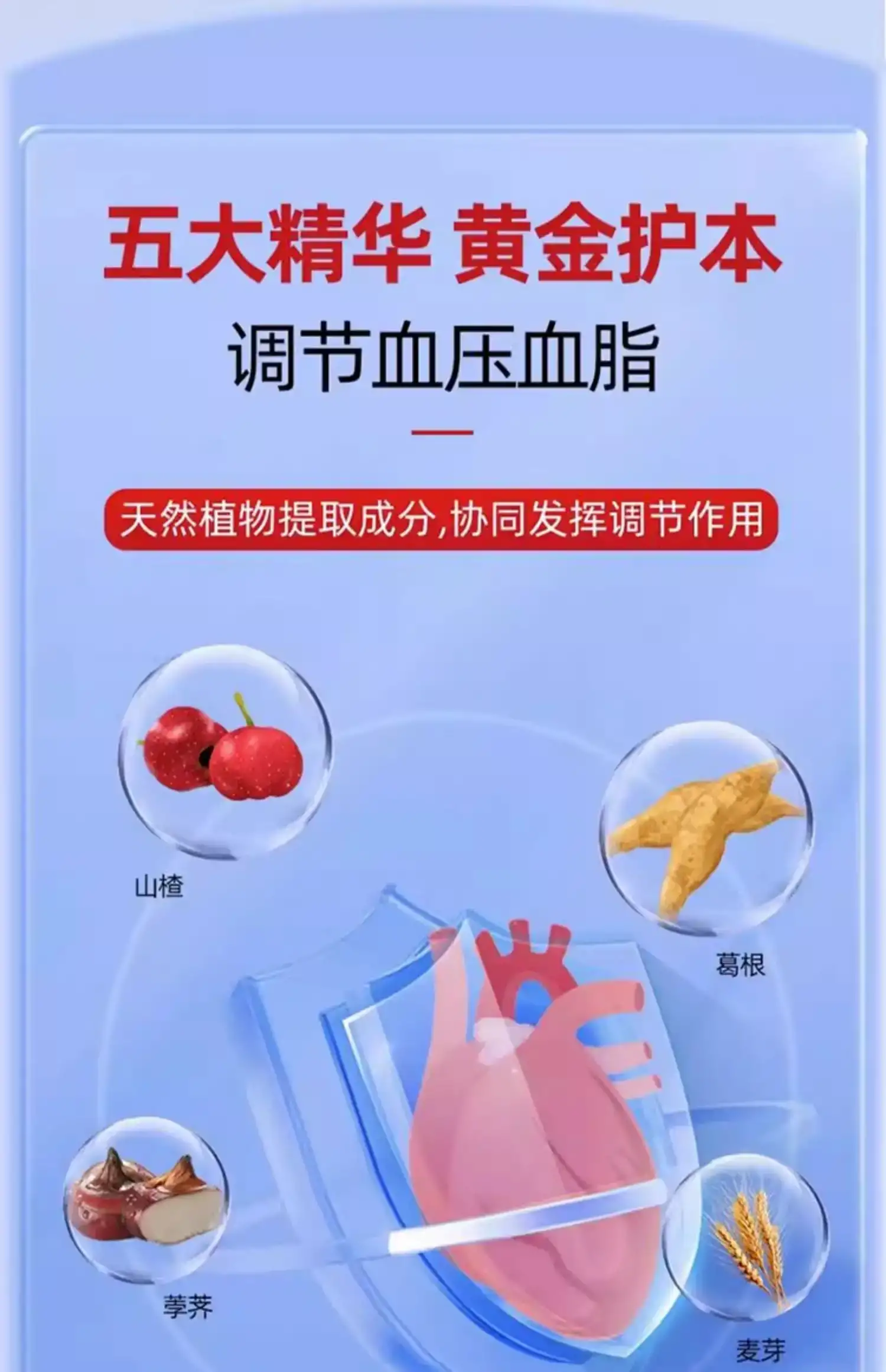 详情06.jpg