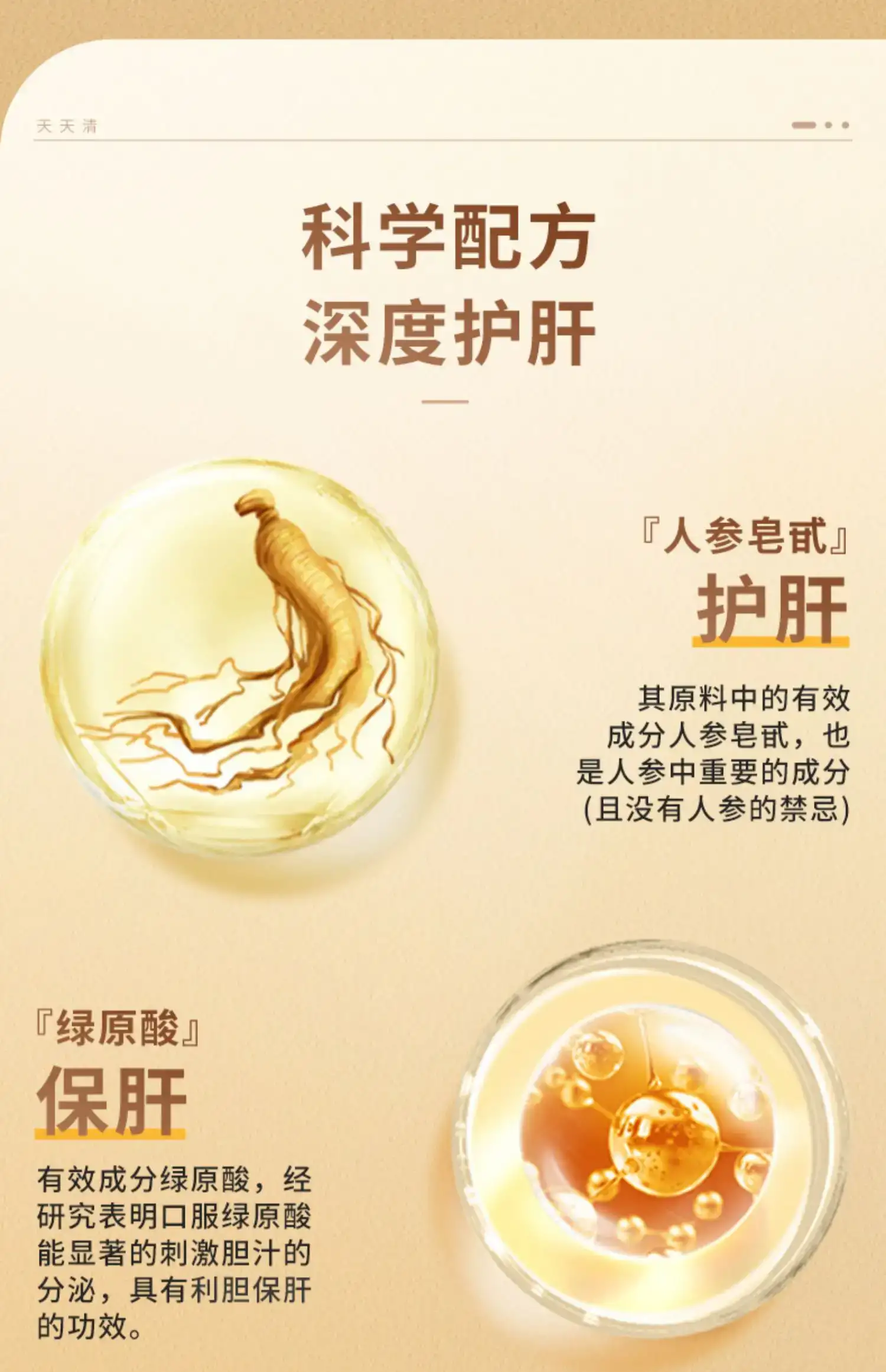 详情14.jpg