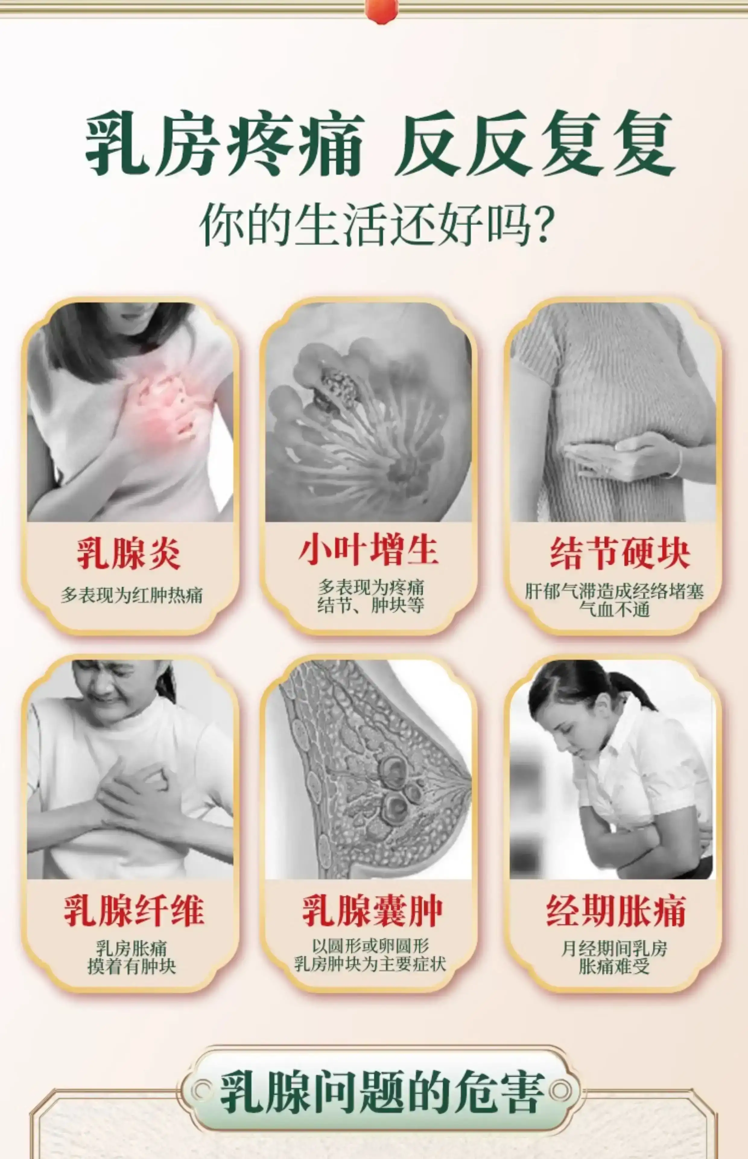 详情02.jpg