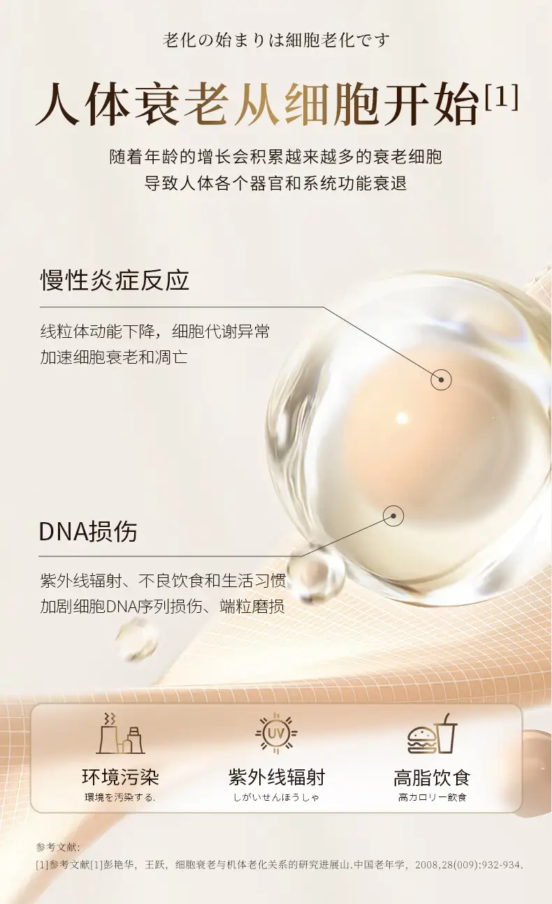 详情03.jpg