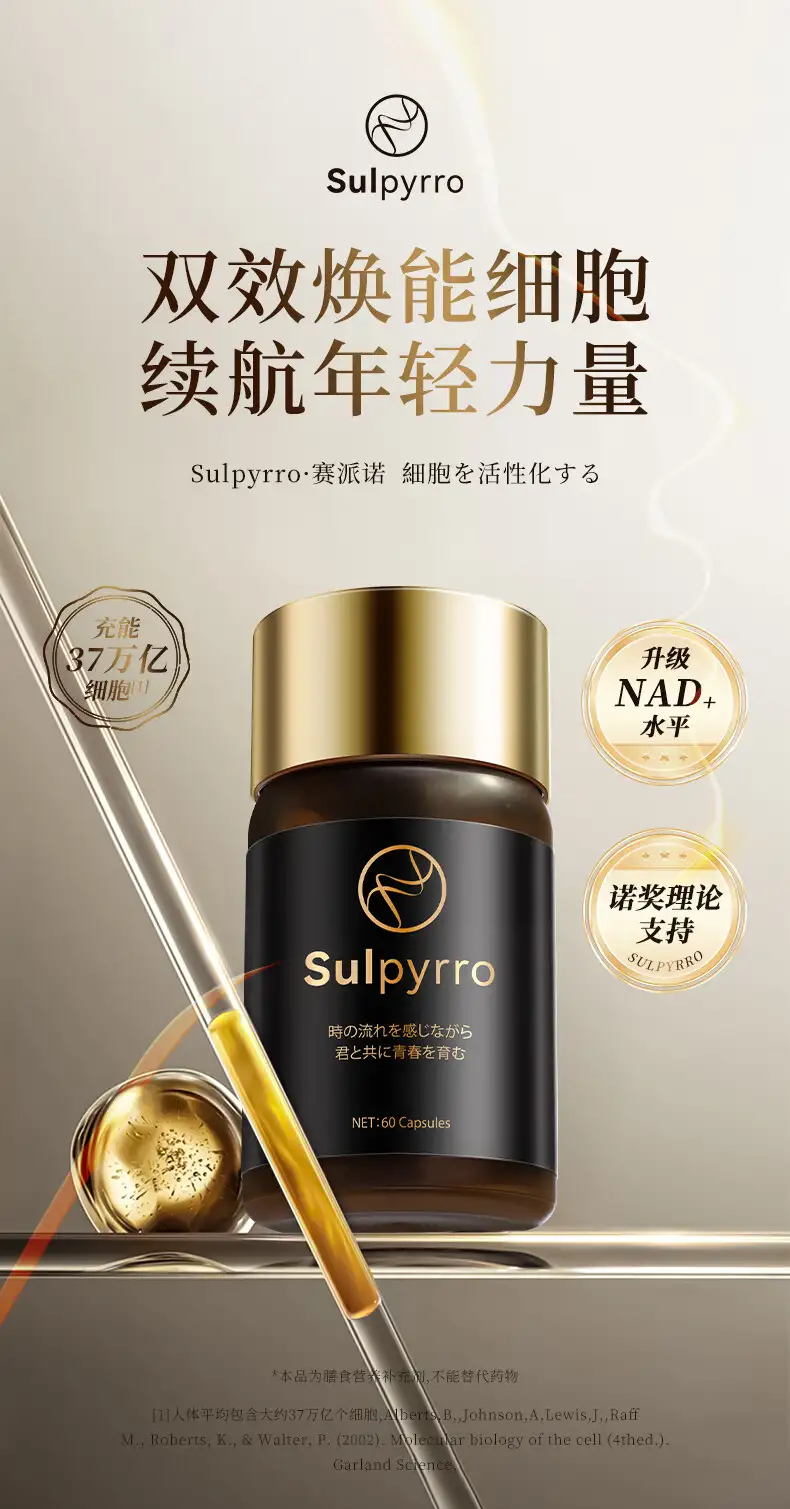 赛派诺 哈佛小棕泵
