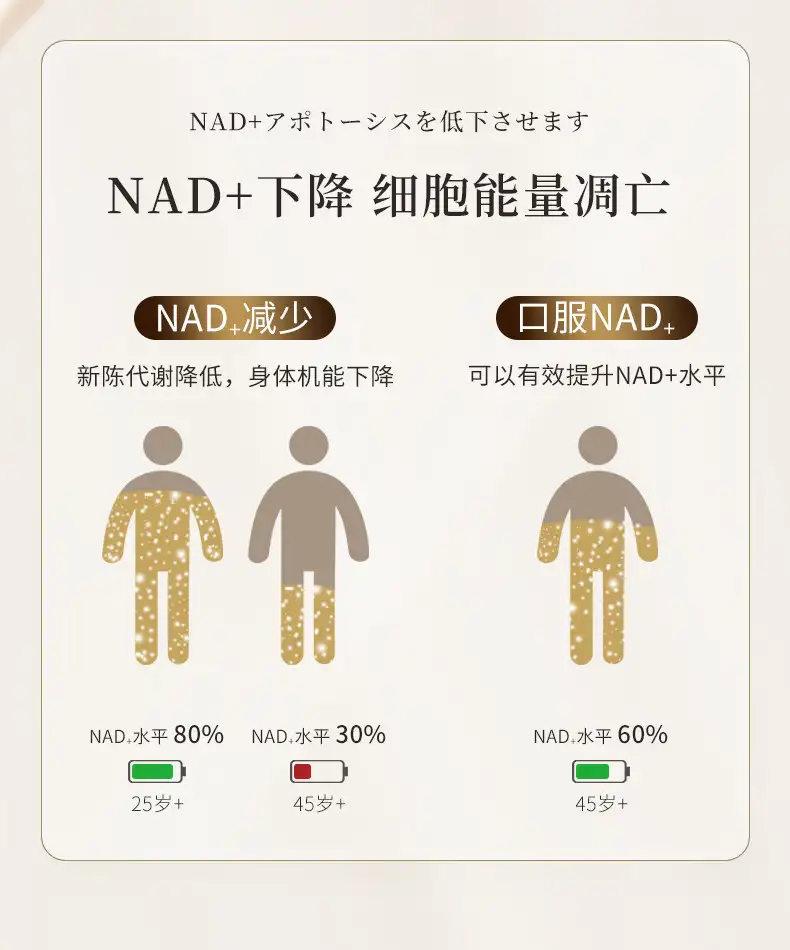 详情04.jpg