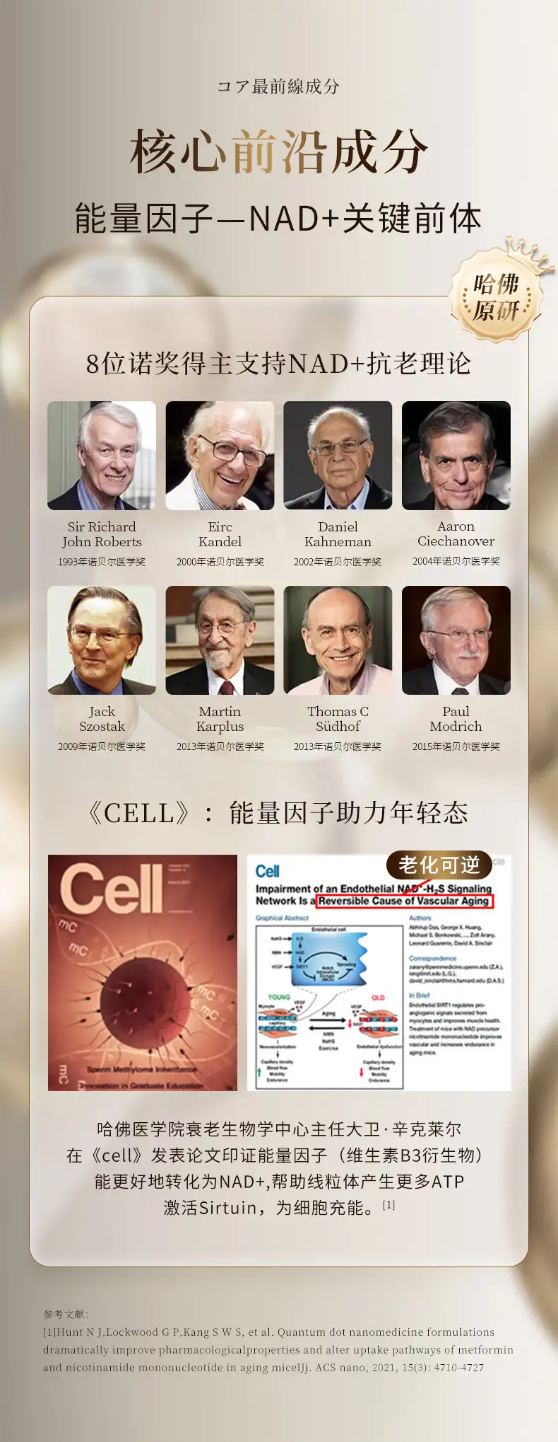 详情06.jpg