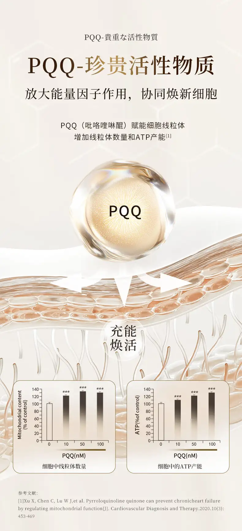 详情07.jpg