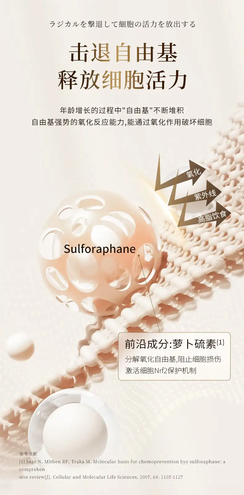 详情08.jpg