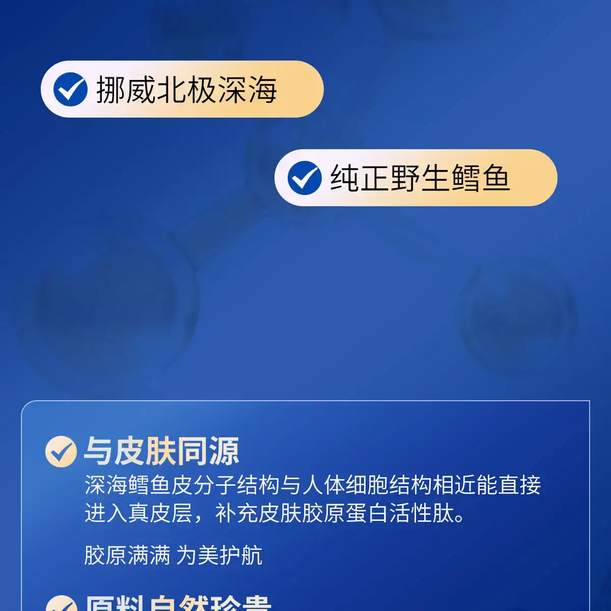 详情10.jpg
