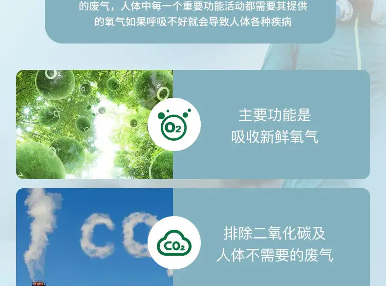 详情04.jpg