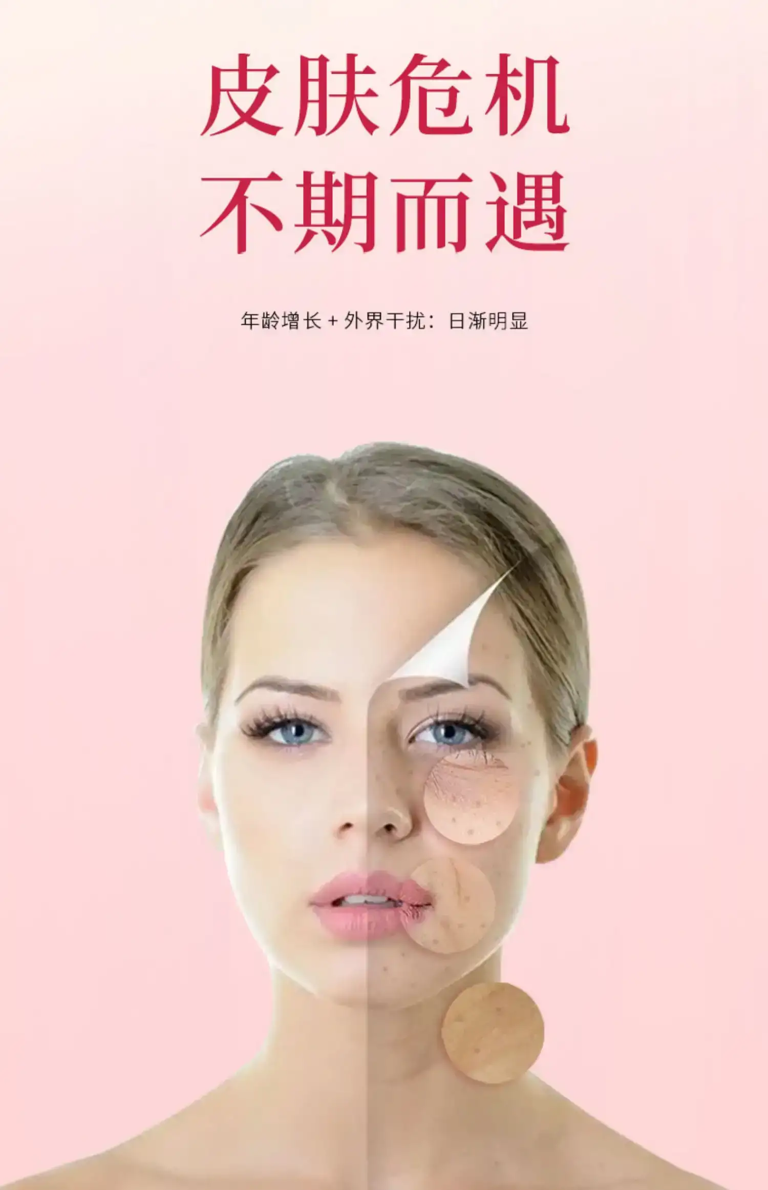 详情04.jpg