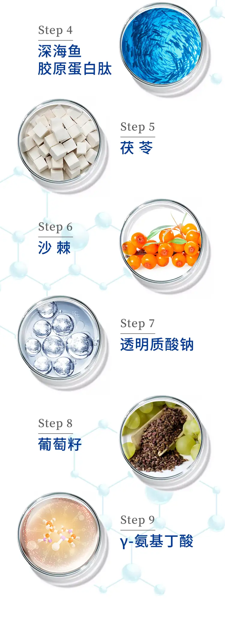 详情09.jpg