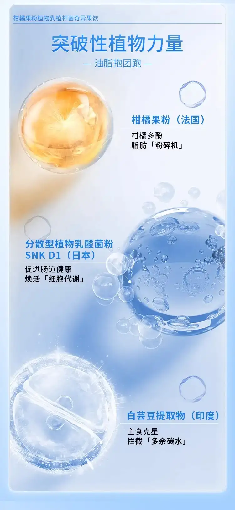 详情06.jpg