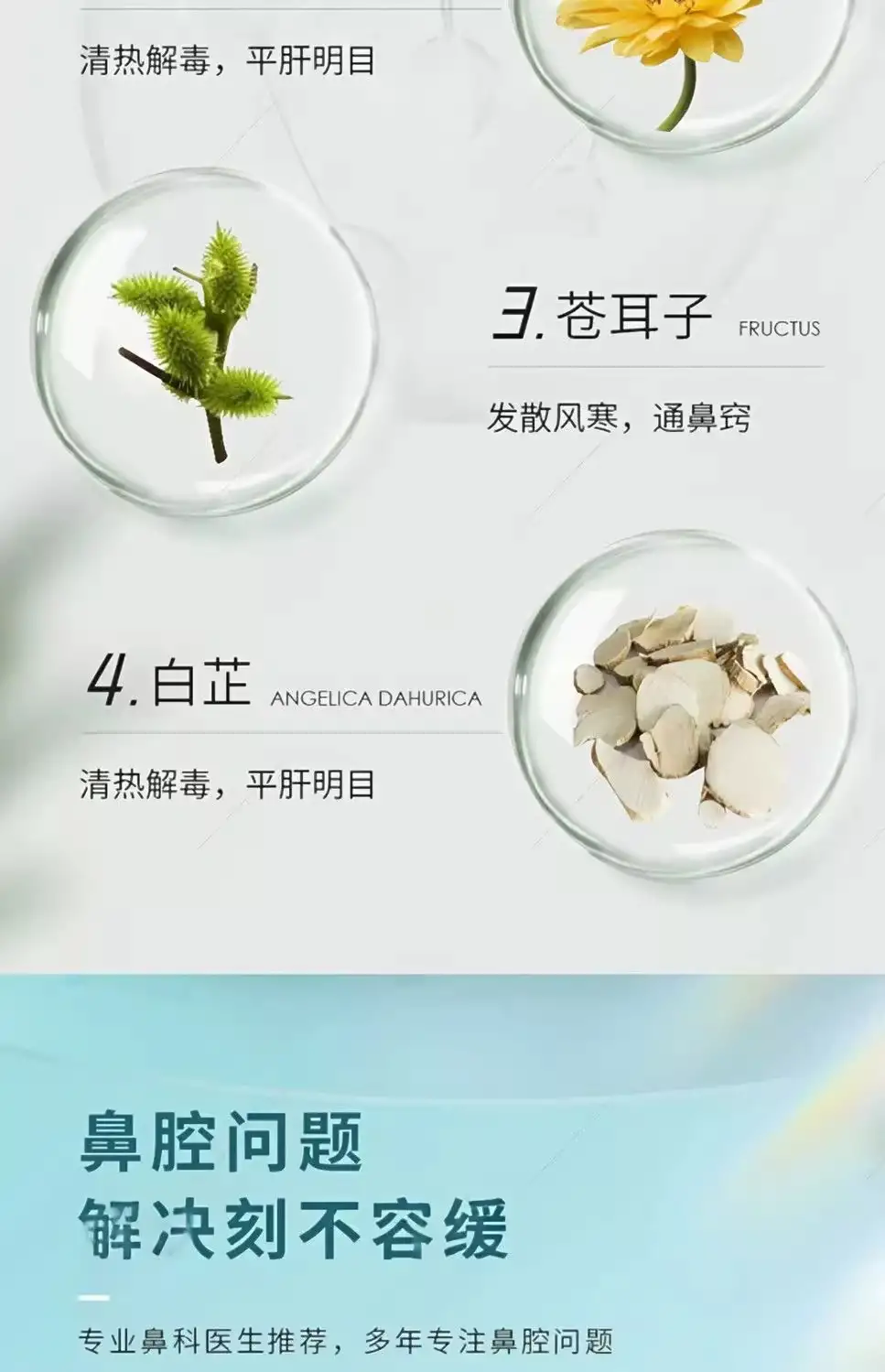 详情09.jpg