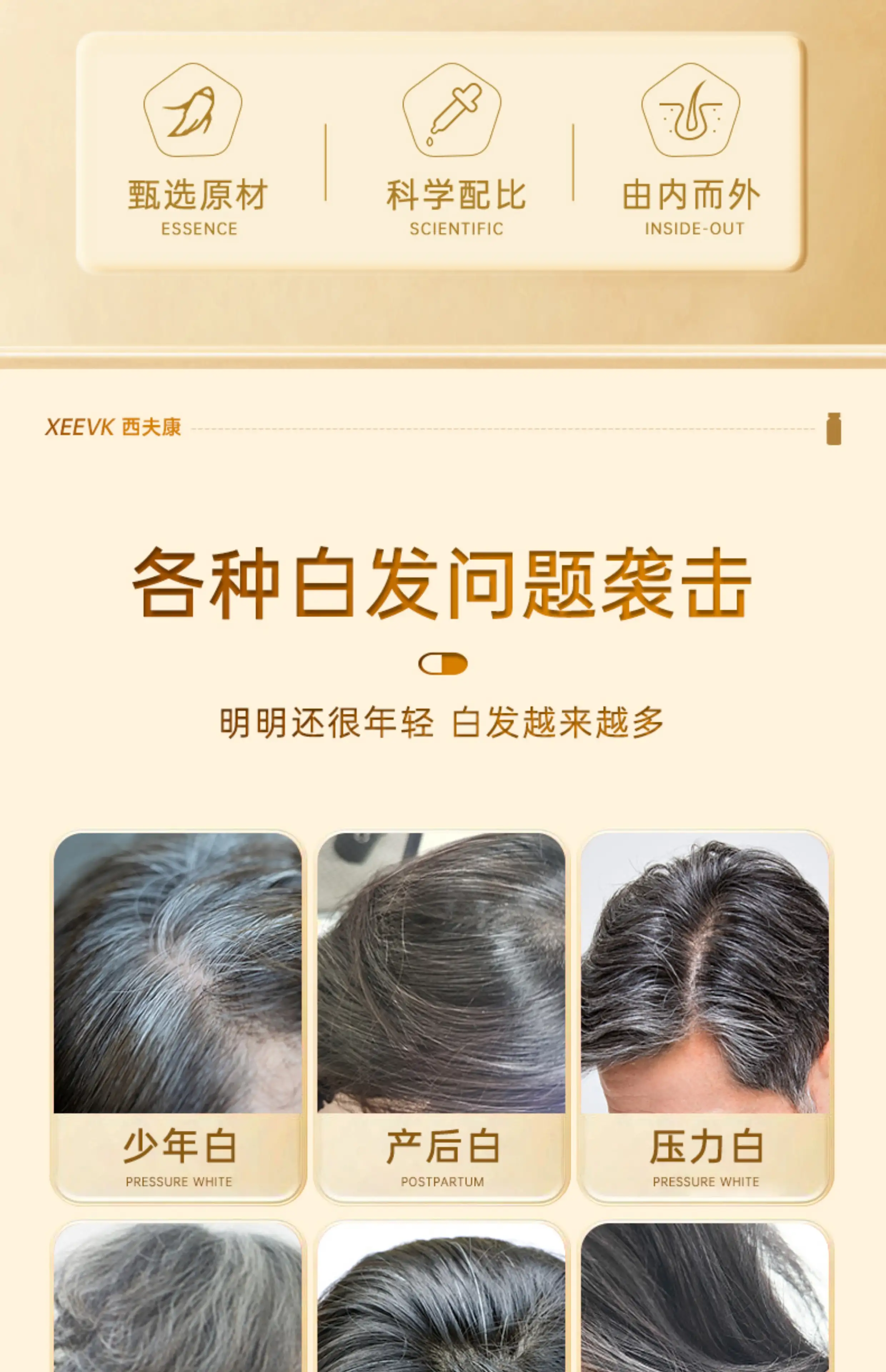 详情03.jpg