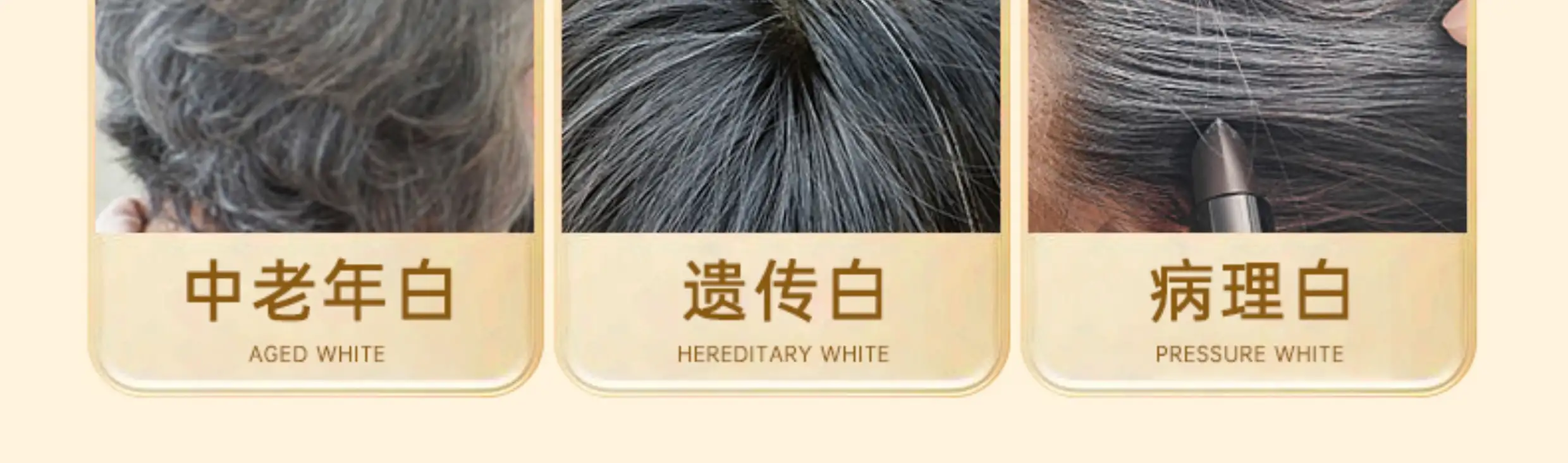 详情04.jpg