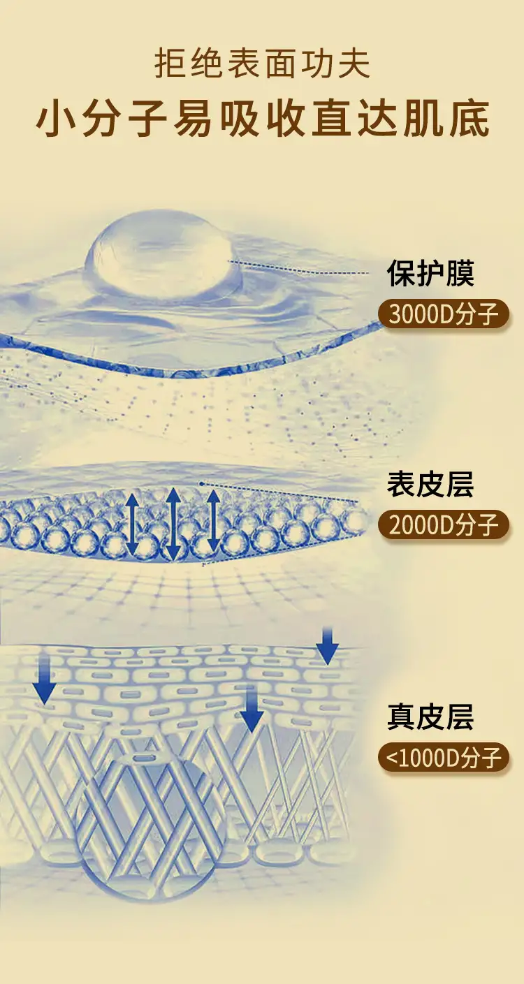 详情11.jpg