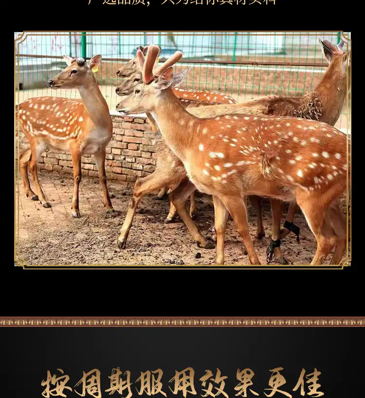 详情12.jpg