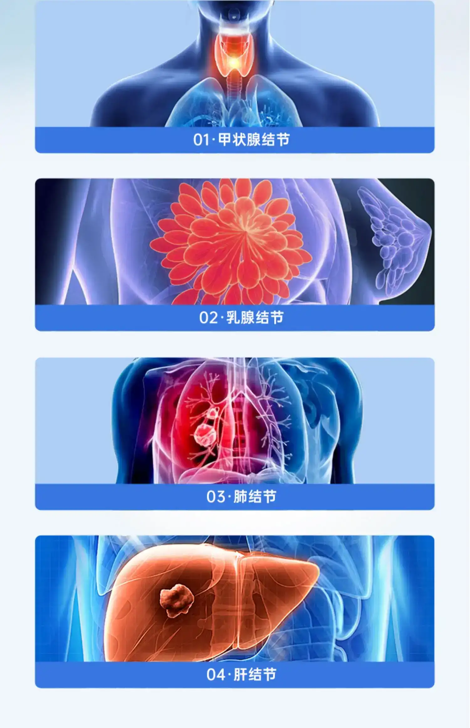 详情10.jpg