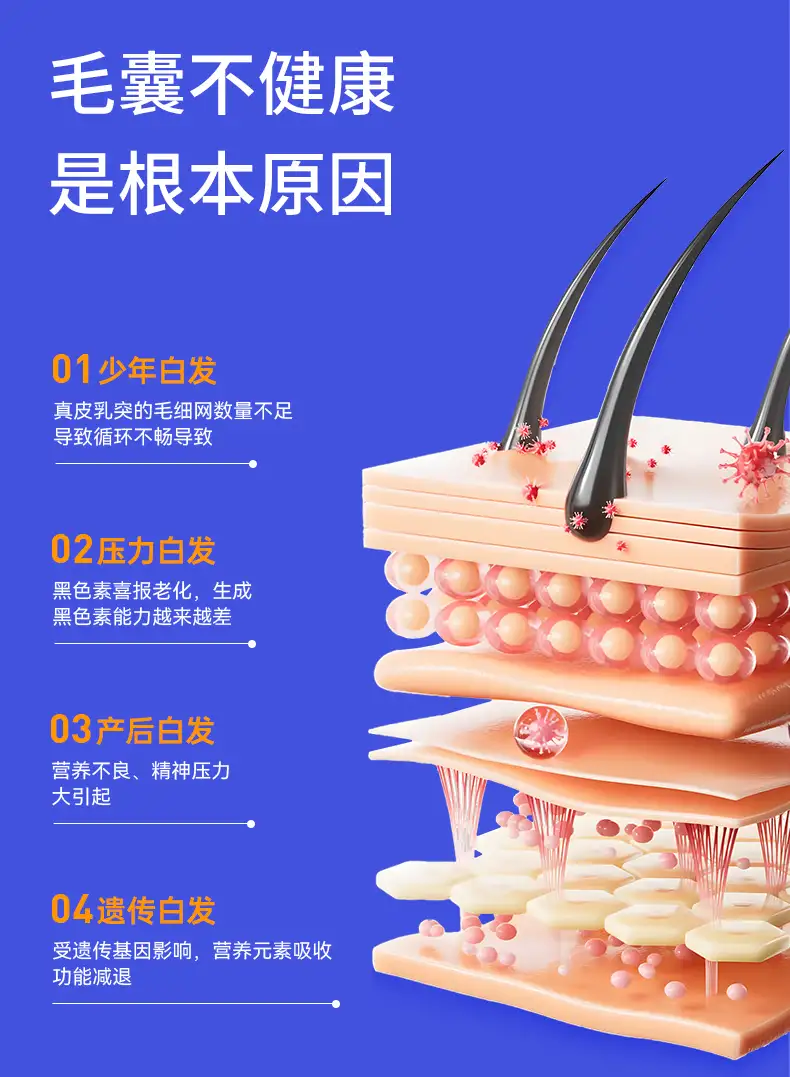 详情05.jpg