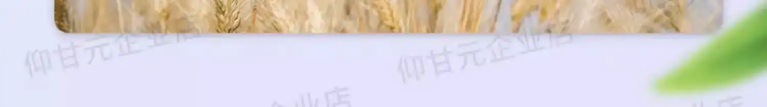 详情10.jpg