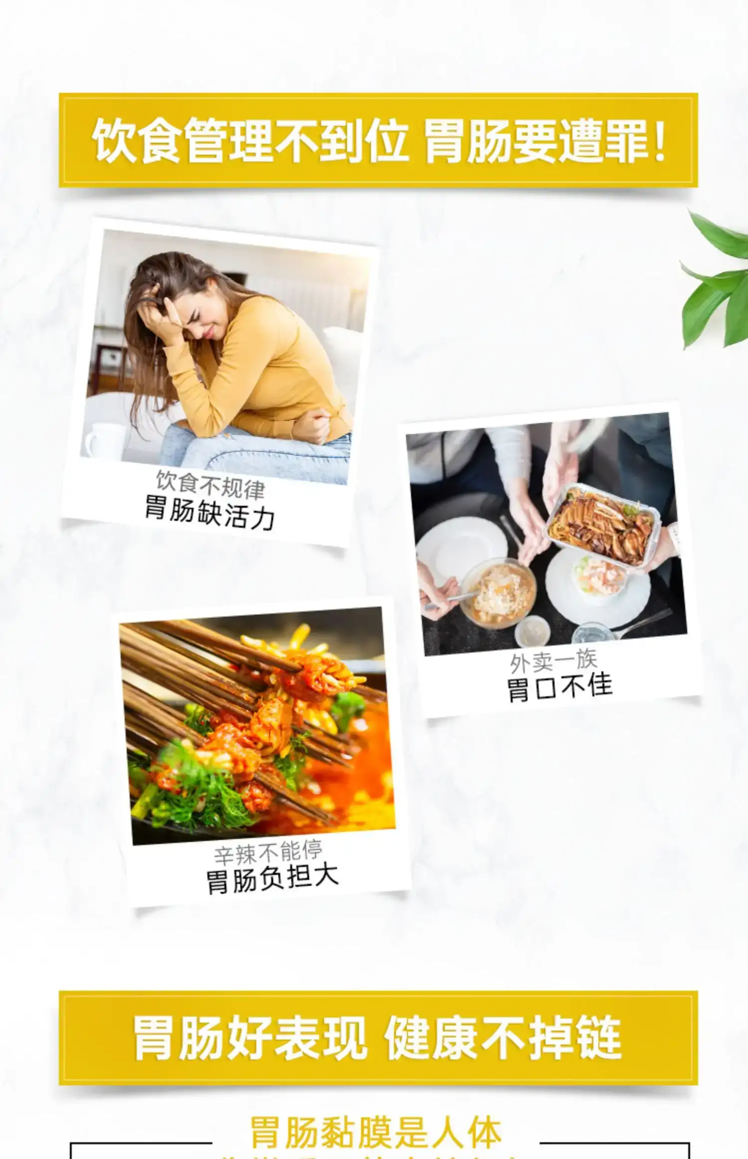 详情10.jpg