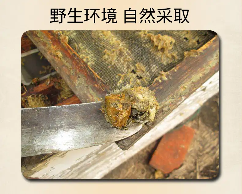 详情09.jpg