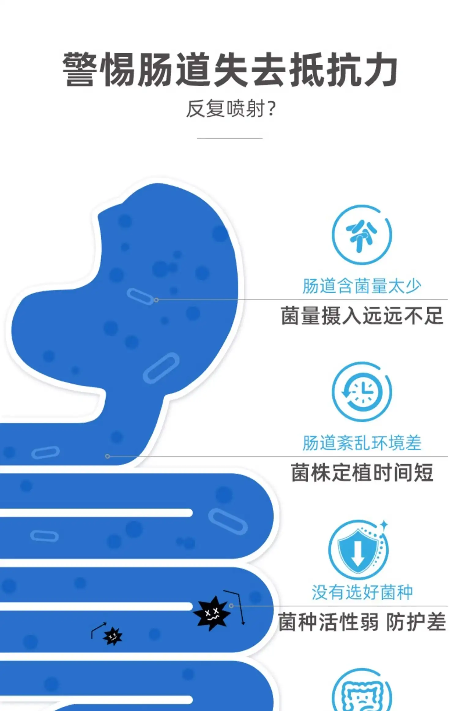 详情12.jpg