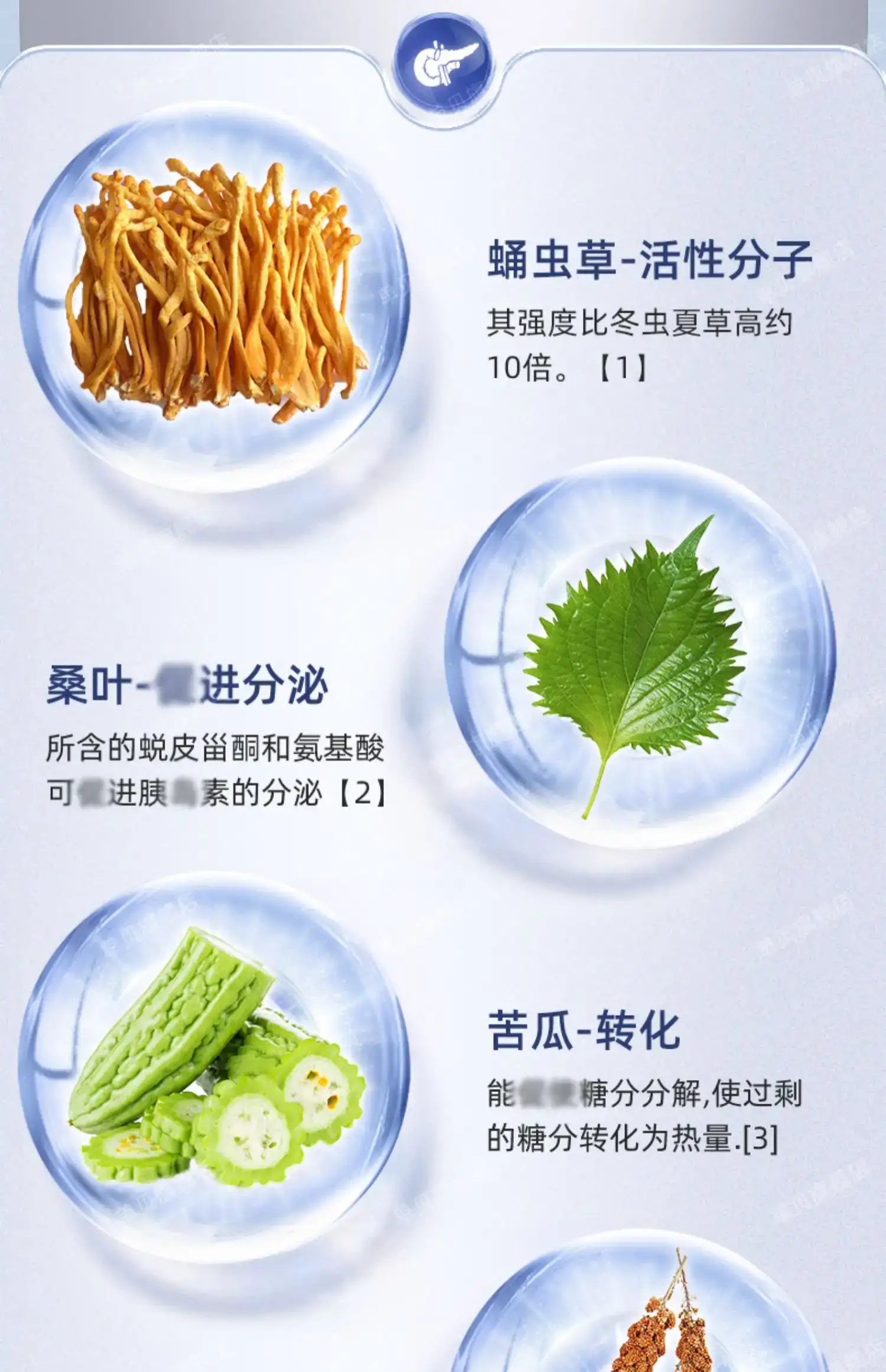 详情10.jpg