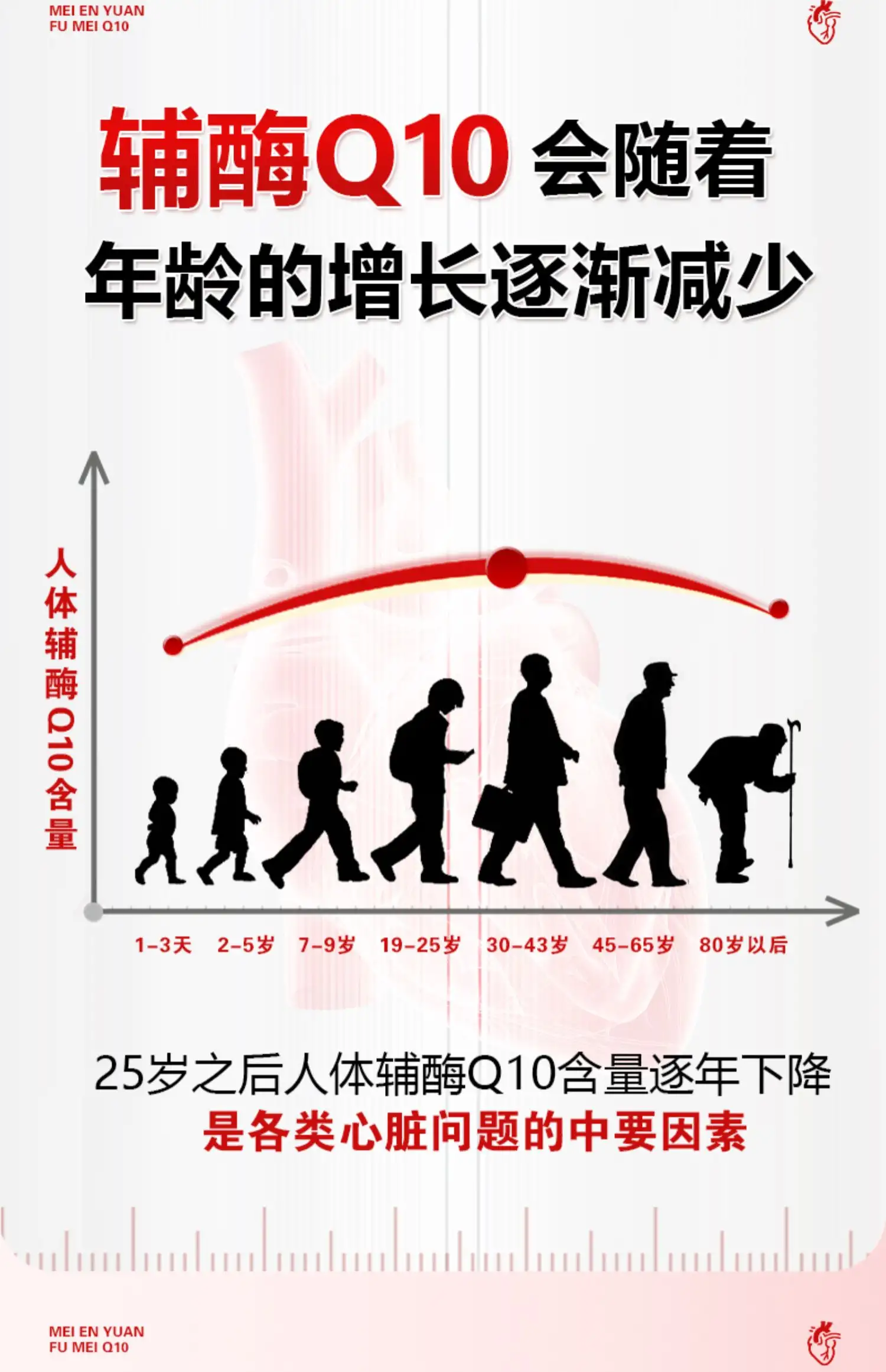 详情05.jpg