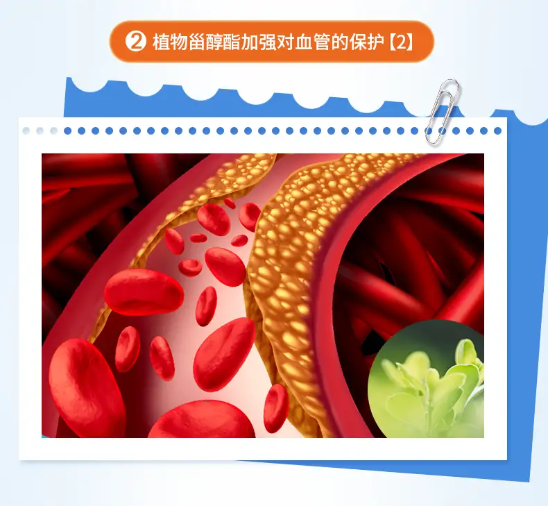 详情06.png