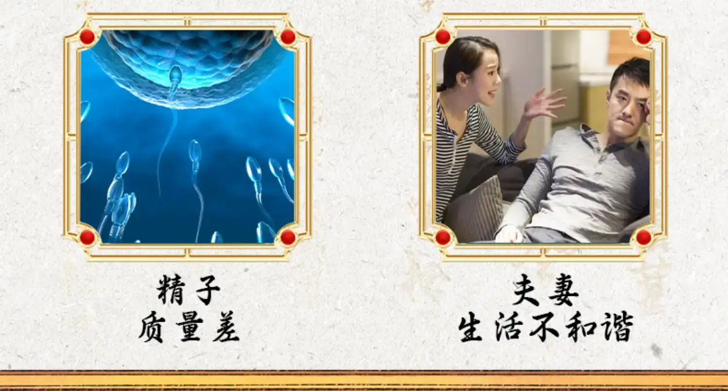 详情08.jpg