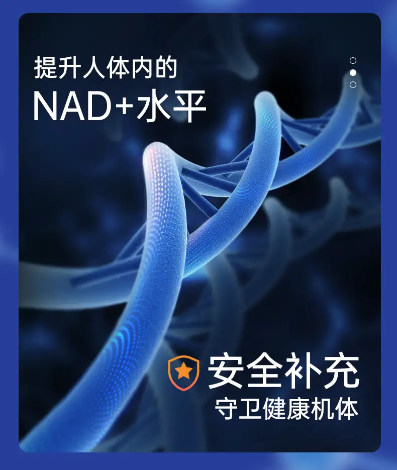 详情12.jpg