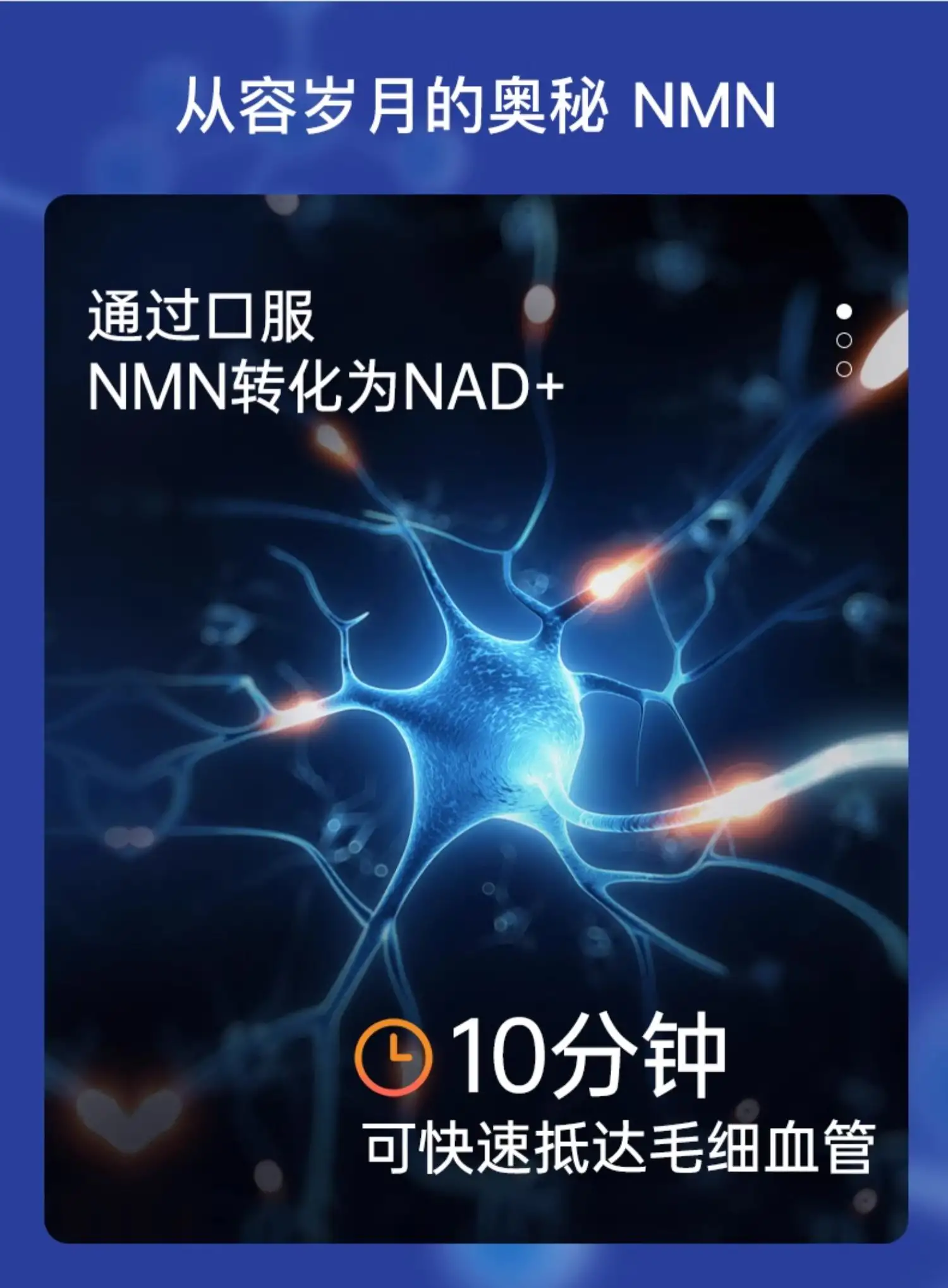 详情11.jpg