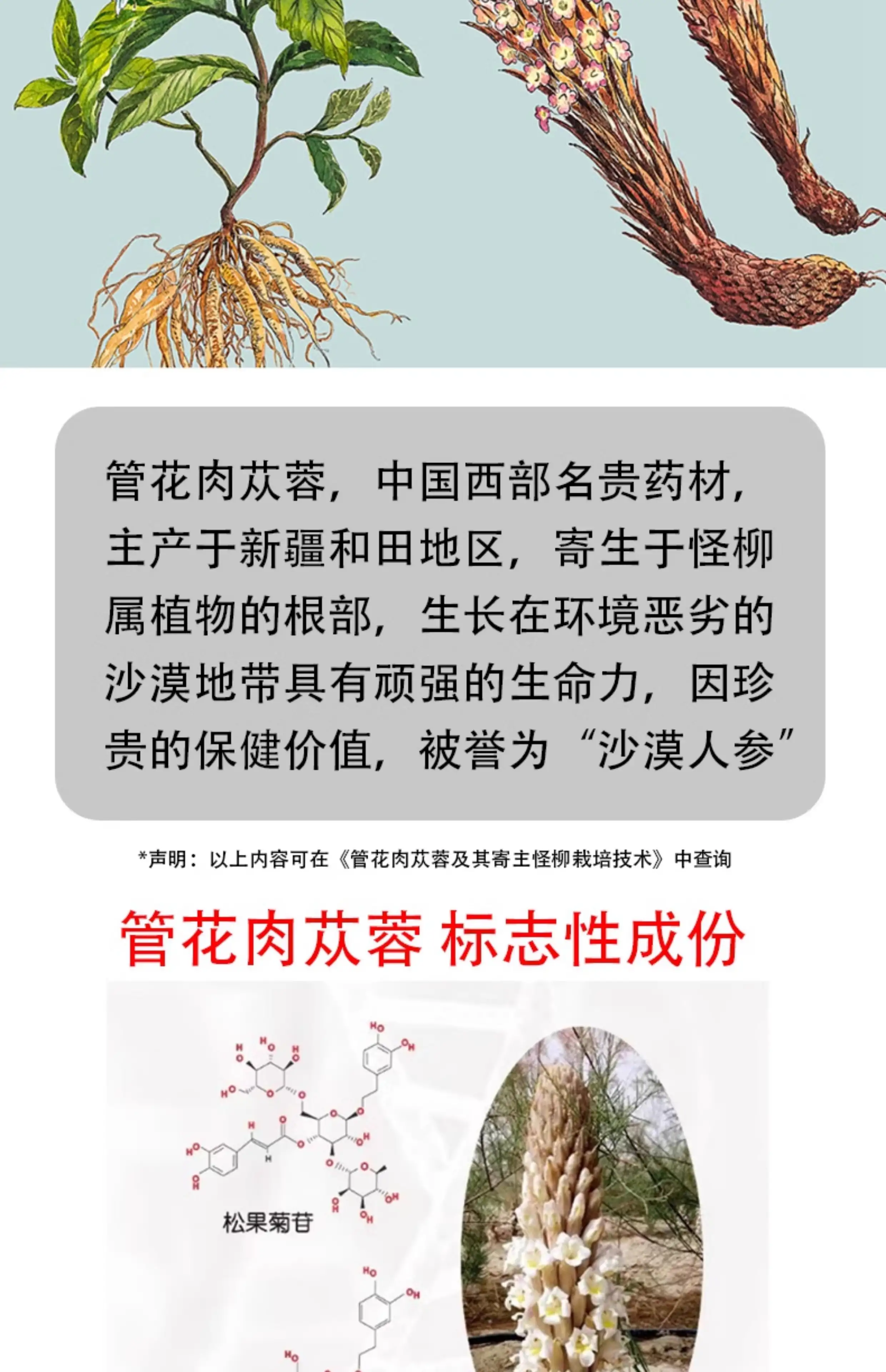 详情03.jpg