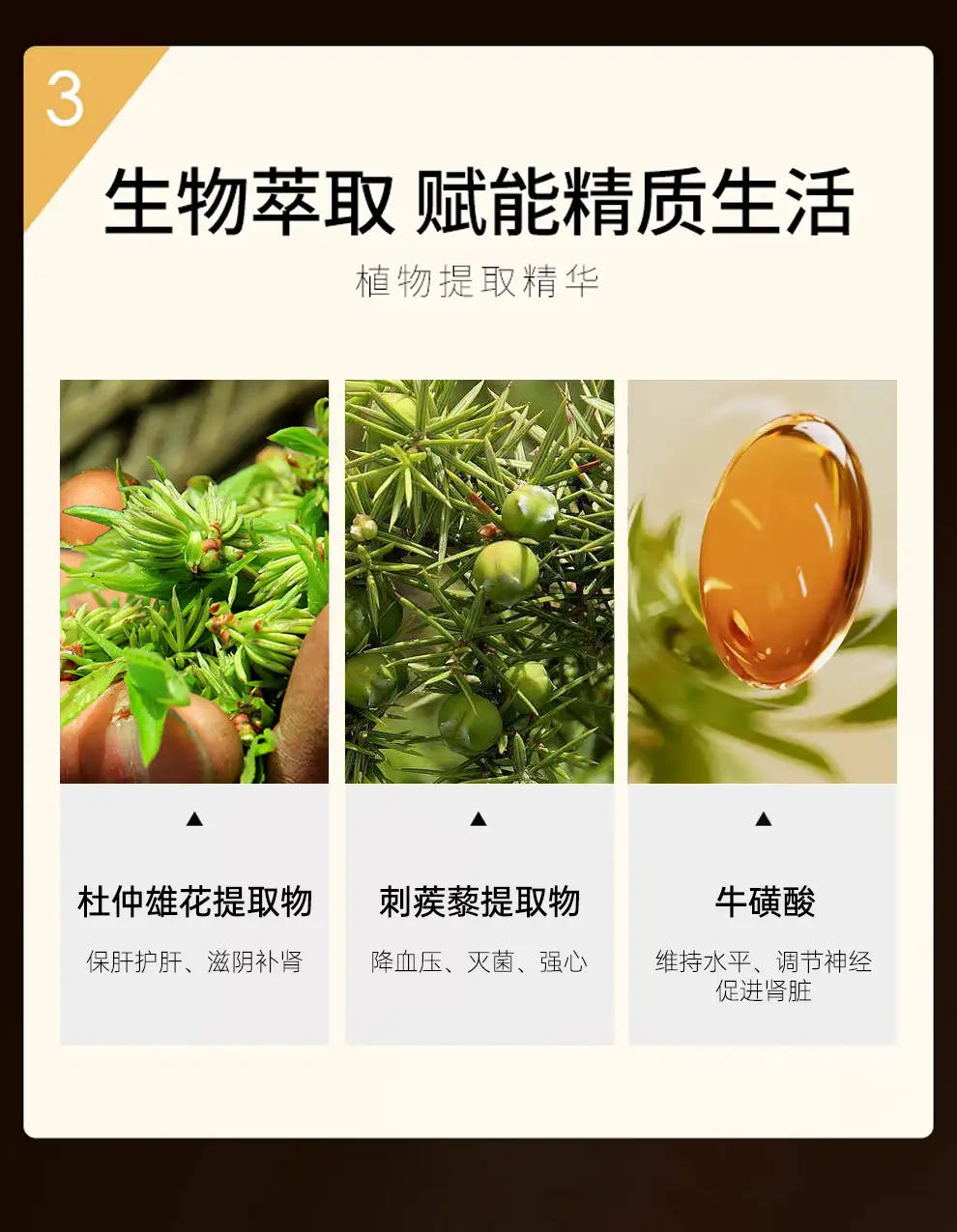 详情19.jpg
