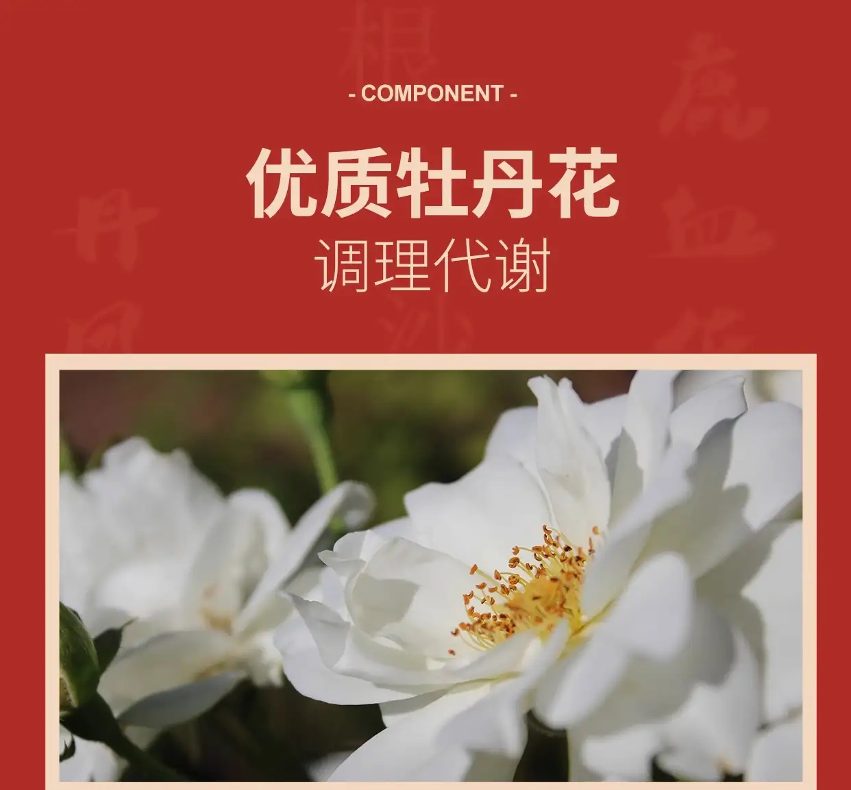 详情17.jpg
