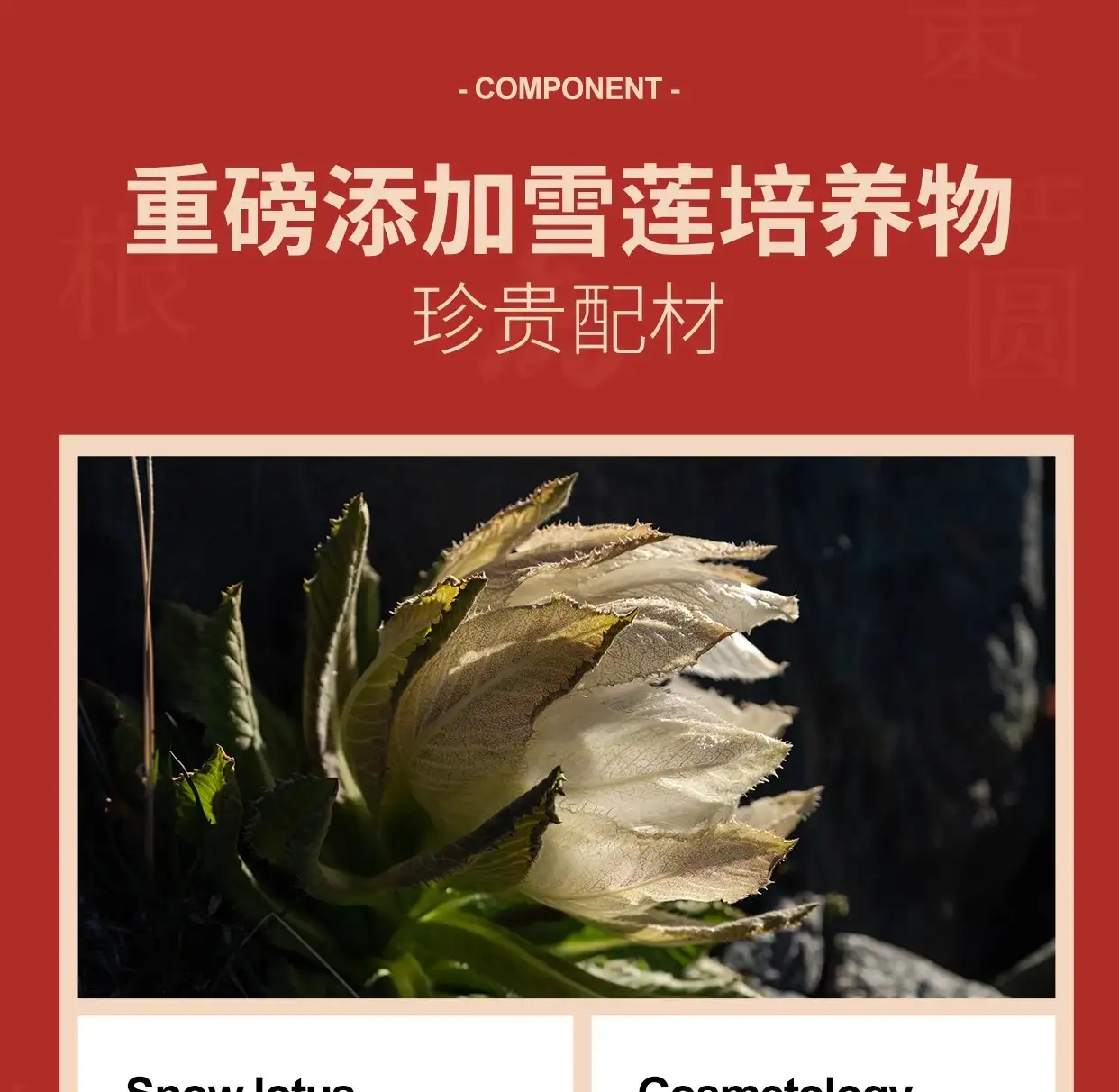 详情19.jpg