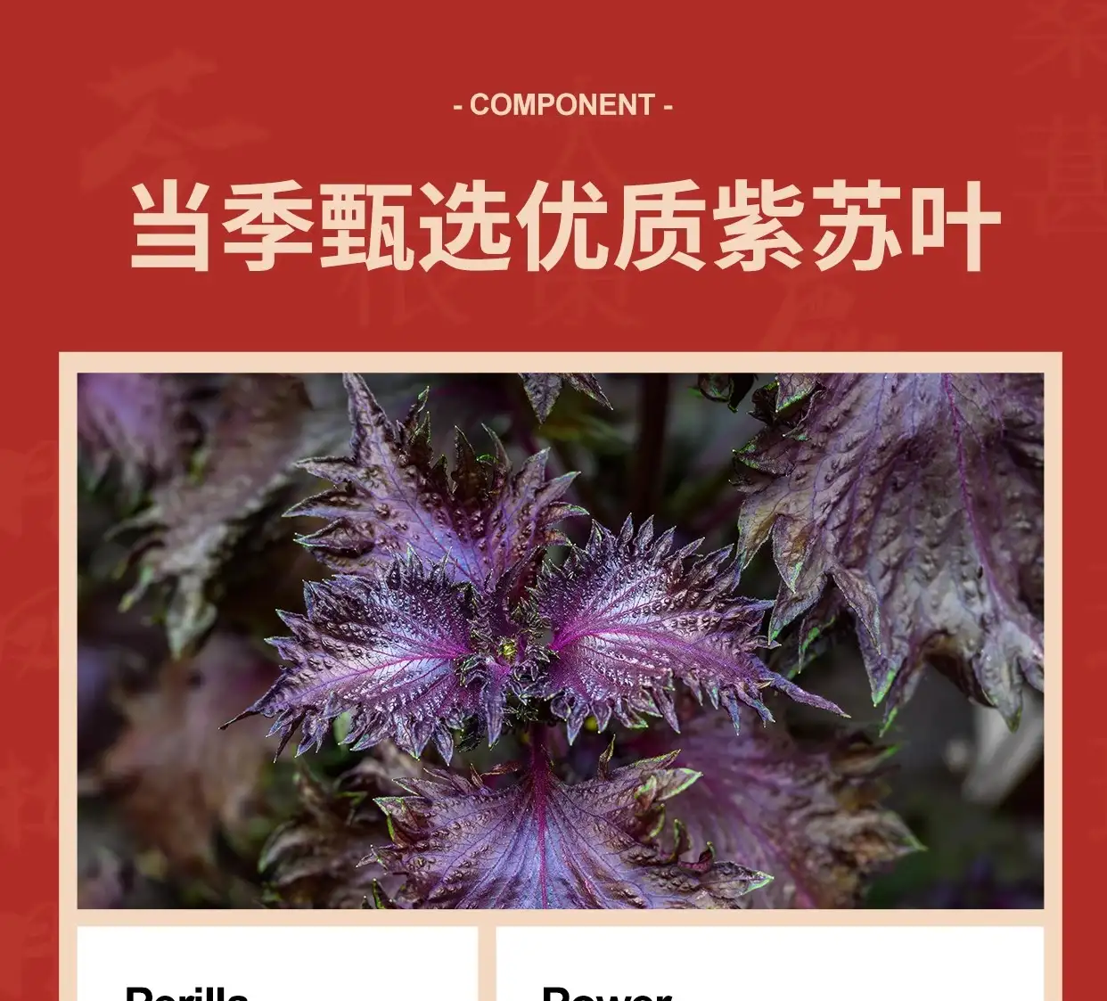 详情21.jpg