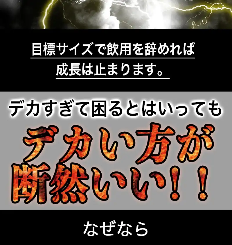 详情11.jpg