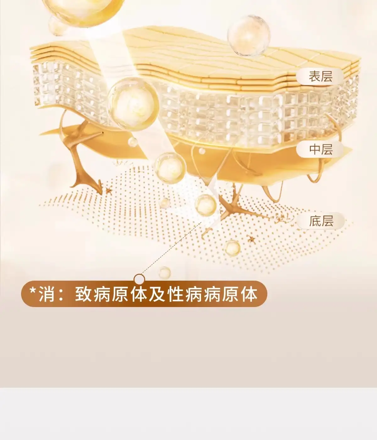 详情10.jpg