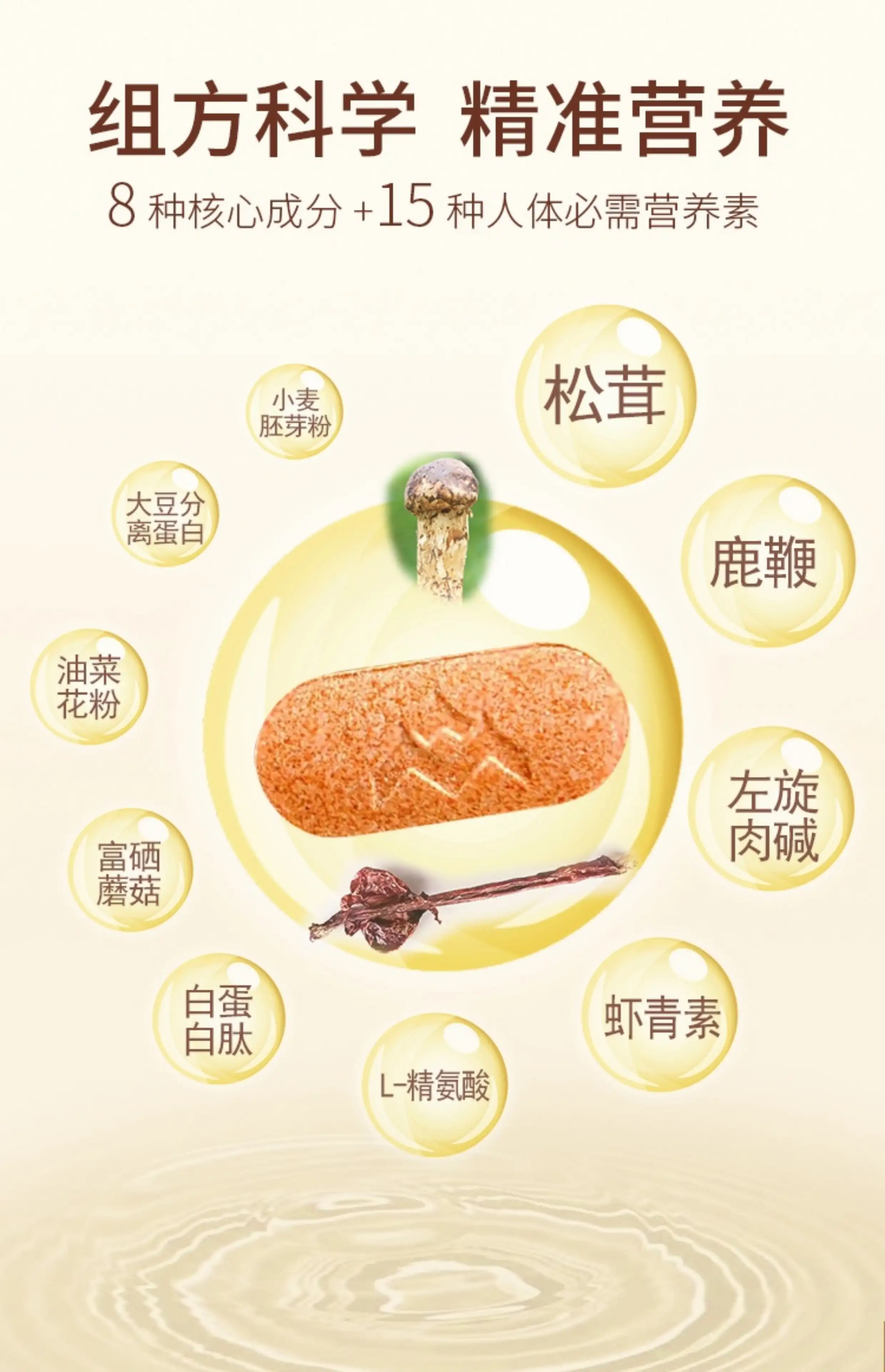 详情04.jpg