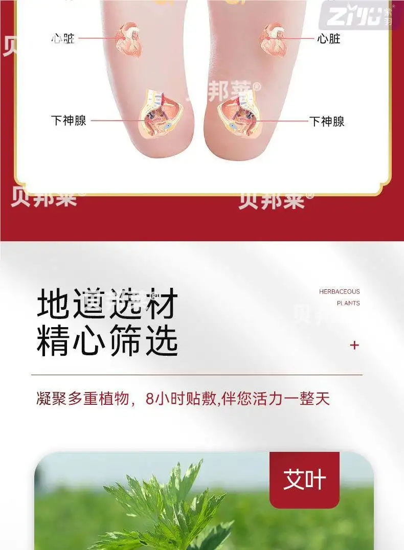 详情05.jpg